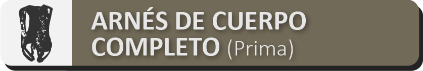 SEGURIDAD DE ARNÉS DE CUERPO COMPLETO