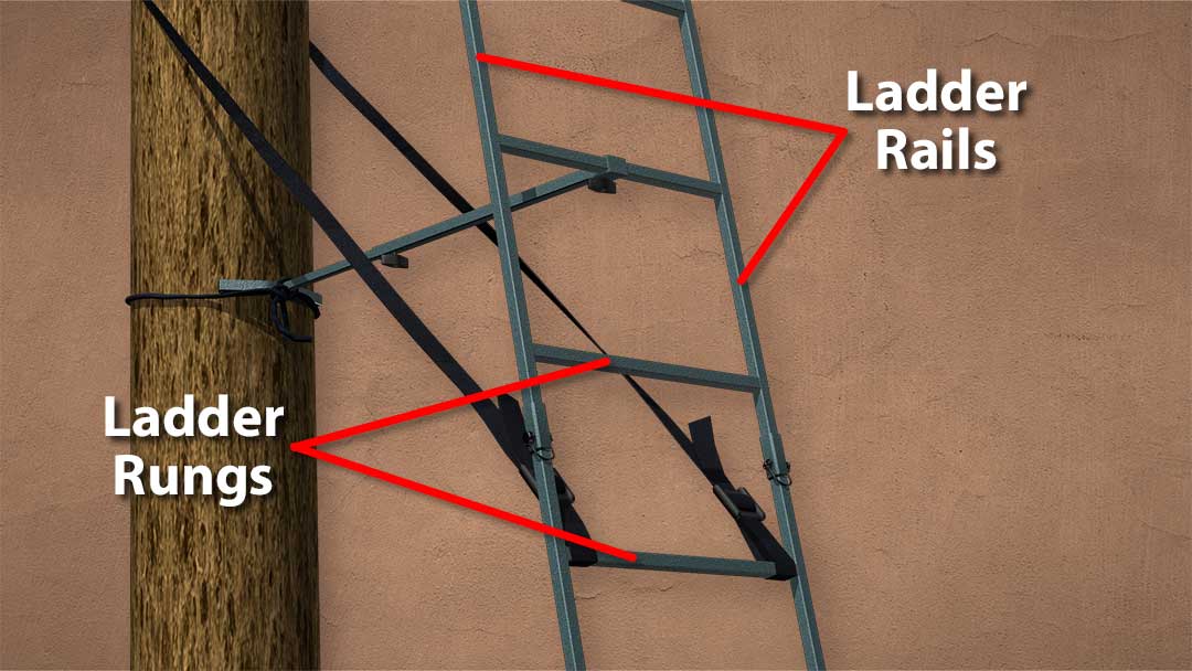 Ladder Stand Safety PARTS OF A LADDER STAND